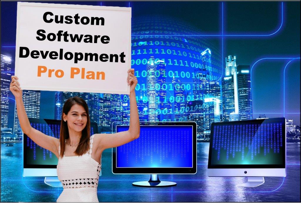 custom software development agency in Alabama