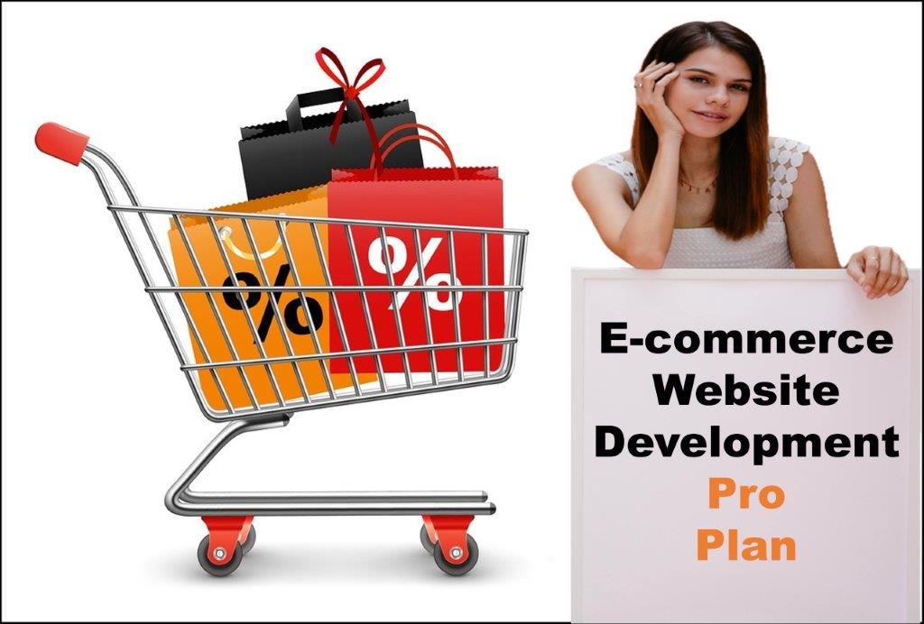 professional ecommerce website development agency in Alabama