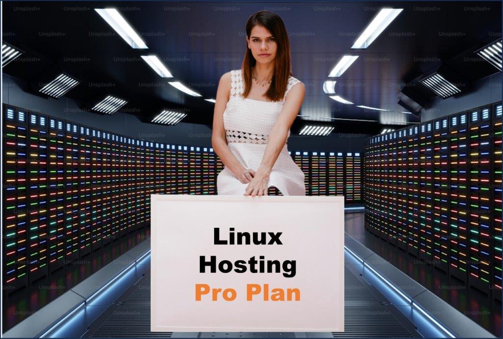 linux hosting windows hosting provider in Alabama