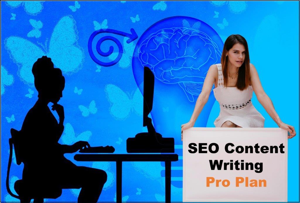 seo content writing agency Alabama