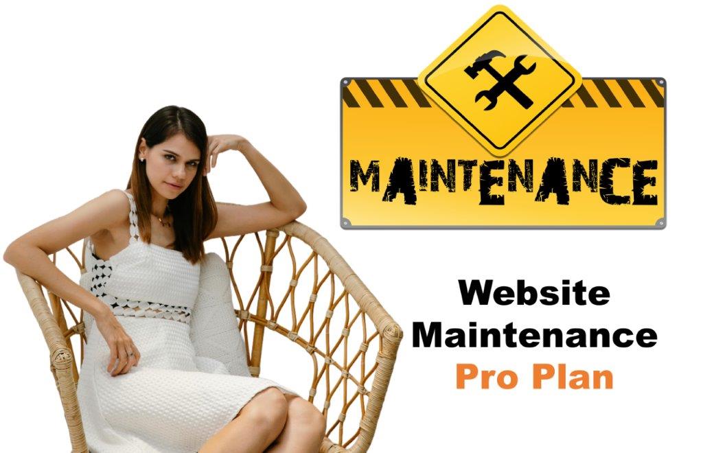 website maintenance agency in Alabama