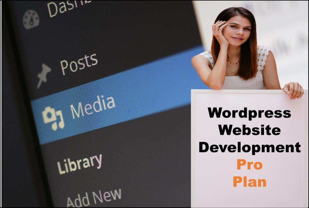 wordpress website designing in Alabama